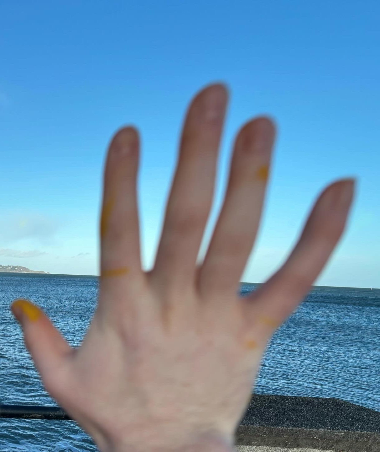 image of a hand with yellow paint looking out into scotsman's bay